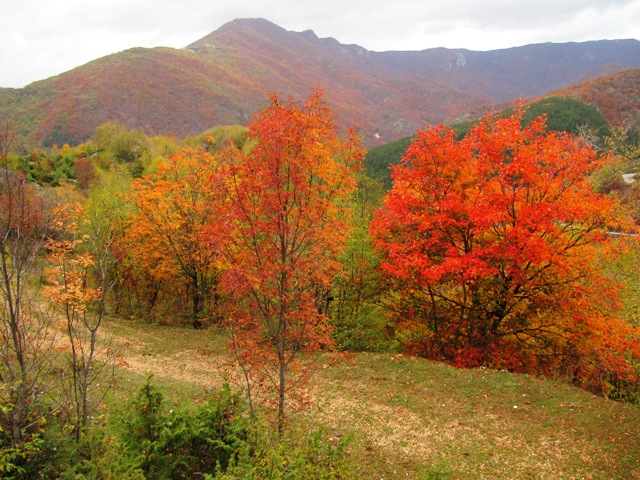 Autunno d’incanto nel Parco dei Monti Simbruini con il “foliage”