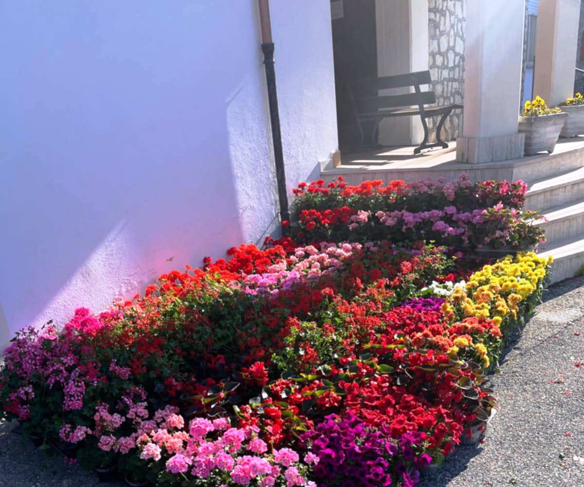 A Jenne arriva donazione di fiori per abbellire il borgo
